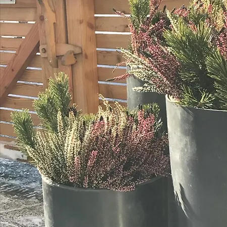 Wittner's * Söll