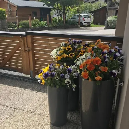 Appartement Wittner's Söll